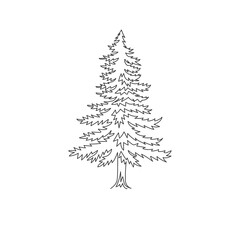 Single one line drawing of beauty exotic pine tree for home art wall decor poster. Decorative pinus plant for national park logo. Tourism travel. Modern continuous line draw design vector illustration