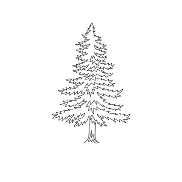 Single one line drawing of beauty exotic pine tree for home art wall decor poster. Decorative pinus plant for national park logo. Tourism travel. Modern continuous line draw design vector illustration
