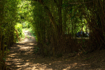 Obraz premium Dirt roads in the middle of the mountain