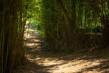 Obraz premium Dirt roads in the middle of the mountain