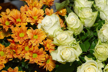 light green rose and orange chrysanthemum. Bouquet of rosaprima green tea roses and orange daisy flowers close-up.