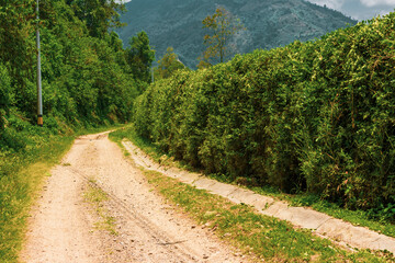 Dirt roads in the middle of the mountain