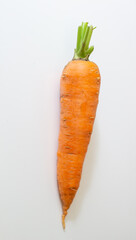 Large, fresh carrot isolated on a white background