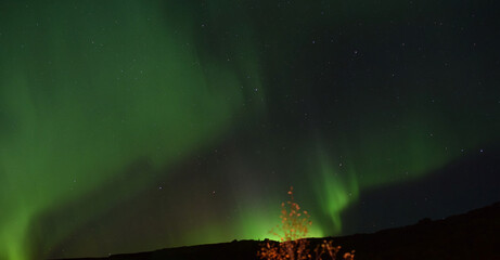 Icelandic northern lights aurora borealis
