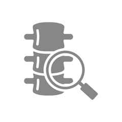 Spine with magnifying glass grey icon. Vertebrae research symbol