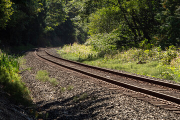 a railroad stretching into the forest on a sunny day with dense green trees on both sides