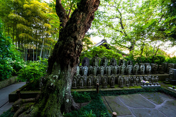 鎌倉 長谷寺の地蔵