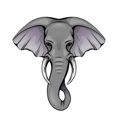 Colorful elephant head with trunk and tusks. Wild powerful mammal. Vector color silhouette for card, logo, icon and your creativity.
