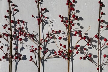 Three red berry branches on an off white background
