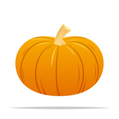 Autumn pumpkin vector isolated illustration