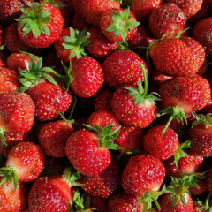 Strawberries are never enough, you always want a little more...