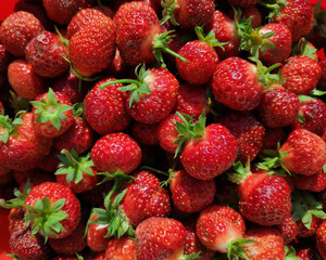 Strawberries are never enough, you always want a little more...