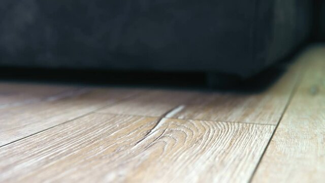 Luxury laminate wooden floor in new apartment