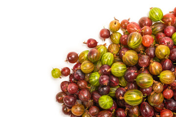 Gooseberry isolated on white background.