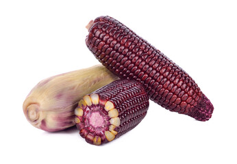 Sweet red corn on a white background