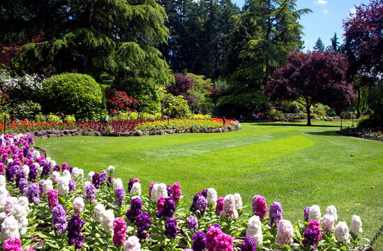 Butchart Gardens in Victoria British Columbia in Canada during full bloom spring season