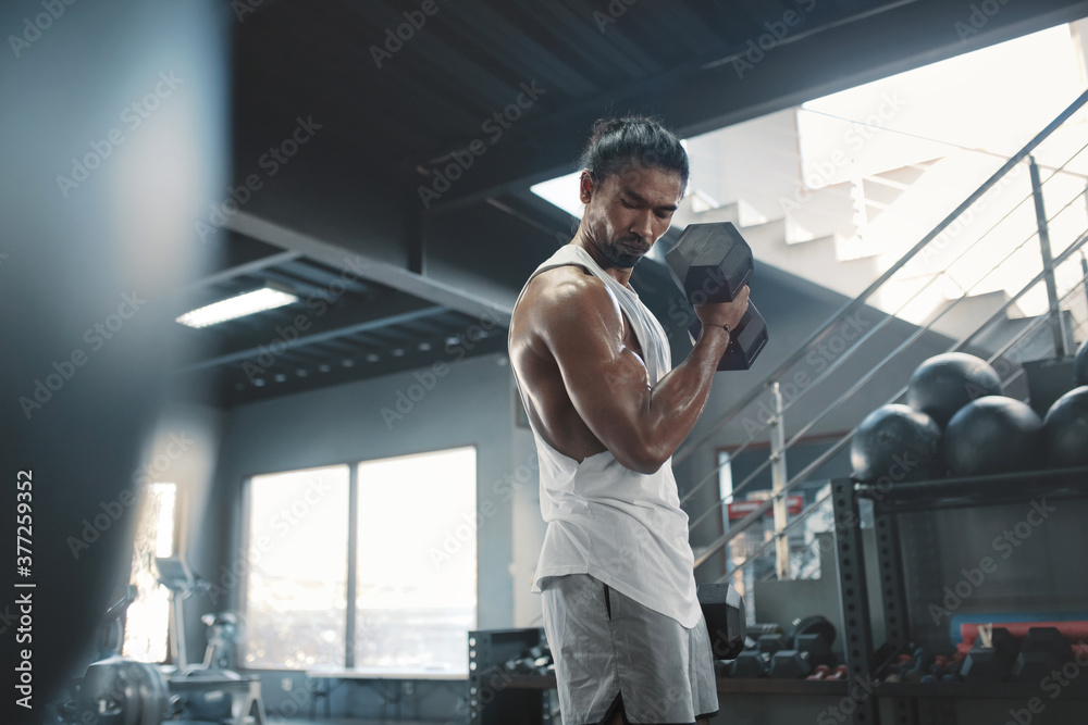 Sticker Gym. Man Lifting Dumbbell. Portrait Of Sexy Asian Sportsman Training At Fitness Center. Handsome Guy With Strong, Healthy, Muscular Body Using Heavy Sport Equipment For Biceps Workout.