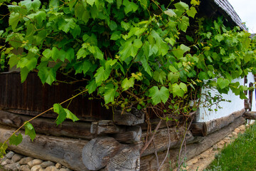 clay and straw house from the authentic and traditional village of the country