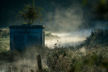 Fototapeta na wymiar morning on the river in the fog