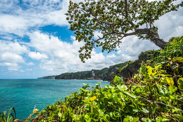 beautiful beach and white stone