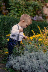 Little boy walking in the autumn park. Stylish child