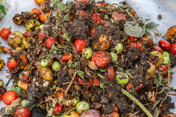 Kompost is esswaren im Garten- Recycling Erde Humus