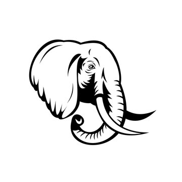 African Elephant Loxodonta African Bush Elephant or African Forest Elephant Head Stencil Black and White