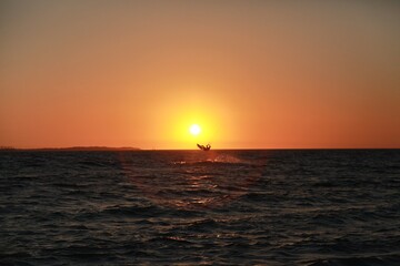 Riding the waves at sea at sunset
