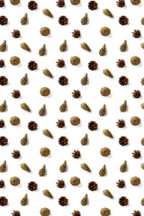 Pine cone Christmas background on white. Pine branches and cones. minimal creative cone arrangement pattern. flat lay, Modern christmas Background.