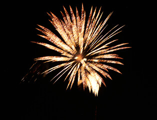 festive and bright fireworks on the background of the night sky