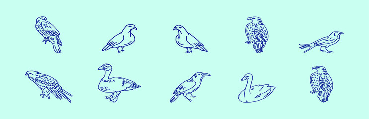 set of bird. buzzard, eagle vector illustration