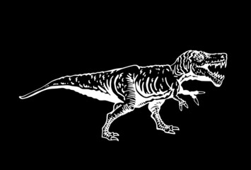 Vector tyrannosaurus isolated on black, graphical illustration of dinosaur