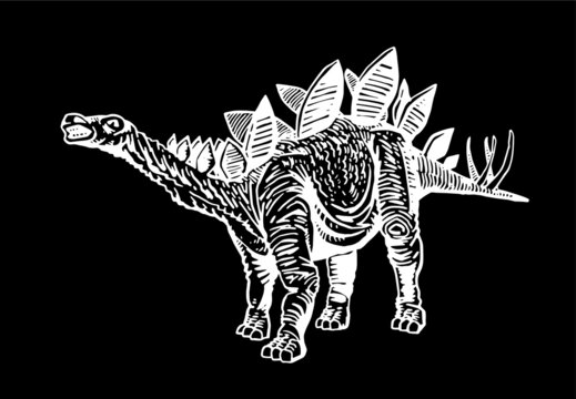 vector stegosaurus isolated on black background, graphical illustration of dinosaur