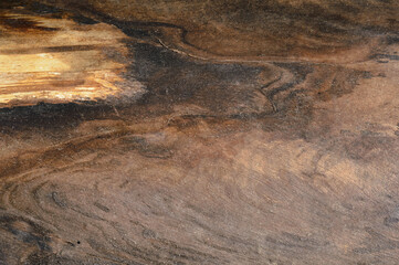 Abstract background of old tree trunk.
