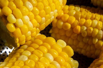 Cobs of yellow boiled corn close up