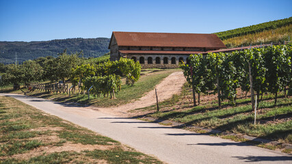 Villa Urbana in Longuich 