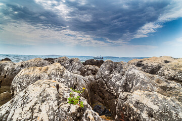 Fototapeta na wymiar Beautiful rock formations along the Adriatic Sea coast in summer