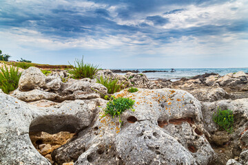 Beautiful rock formations along the Adriatic Sea coast in summer