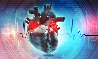 Human heart with ecg waves on abstract background. 3d illustration .