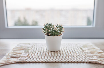 Cactus in pot on natural cotton twine mat rug on rustic wooden background. Eco style with green plant. Modern macrame handmade. Knitted  home decoration concept