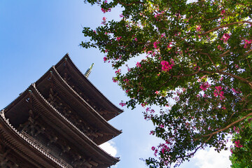 京都　東寺　五重塔