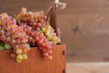 Harvest grapes. Bunch of ripe grapes in a wooden box. A place for text. horizontal photo. Selective focus.