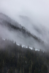 Fog In The Mountians Of The Pacific Northwest 