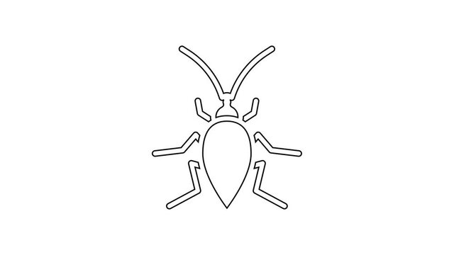 Black line Cockroach icon isolated on white background. 4K Video motion graphic animation.
