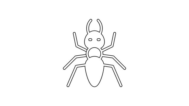 Black line Ant icon isolated on white background. 4K Video motion graphic animation.