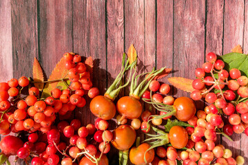 Bright ripe berries of mountain ash, viburnum, wild rose hips lie on a hard surface. A palette of autumn colors.