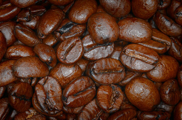 Roasted coffee beans with a nice oily greasy sheen.
