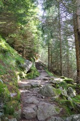 Wanderweg im Vinschgau