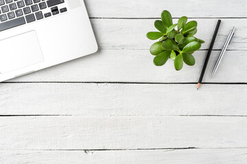 Modern laptop, green succulent and pens on white wooden background. Office desktop. Top view