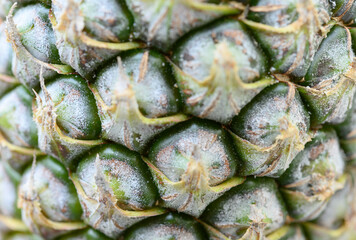 Texture on the abstract of pineapple